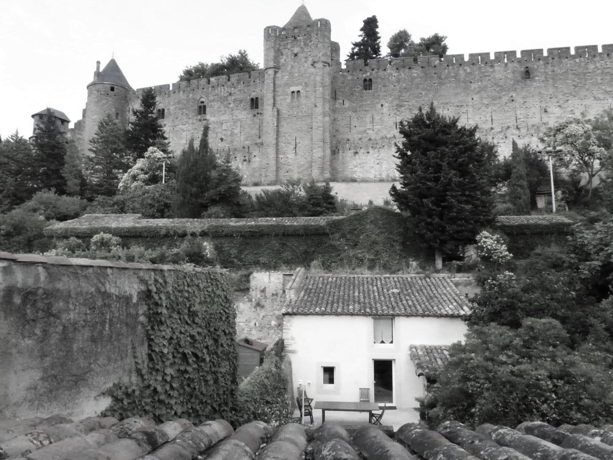 Le Petit Chai Niche Sous La Cite, Carcassonne Exterior photo